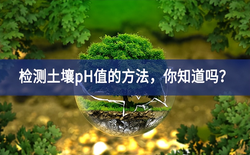 檢測(cè)土壤pH值的方法，你知道嗎？