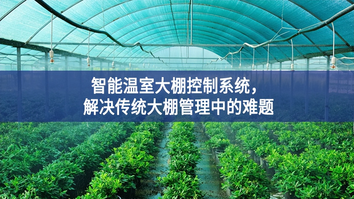 智能溫室大棚控制系統(tǒng)，解決傳統(tǒng)大棚管理中的難題
