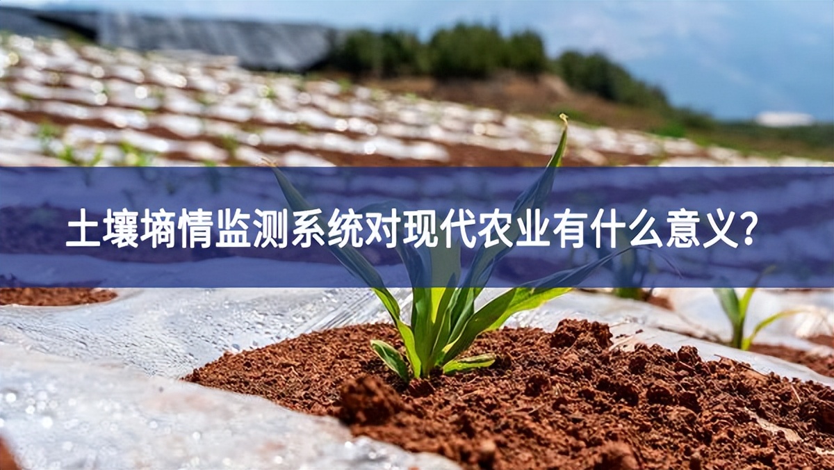 土壤墑情監(jiān)測系統(tǒng)對現(xiàn)代農業(yè)有什么意義？