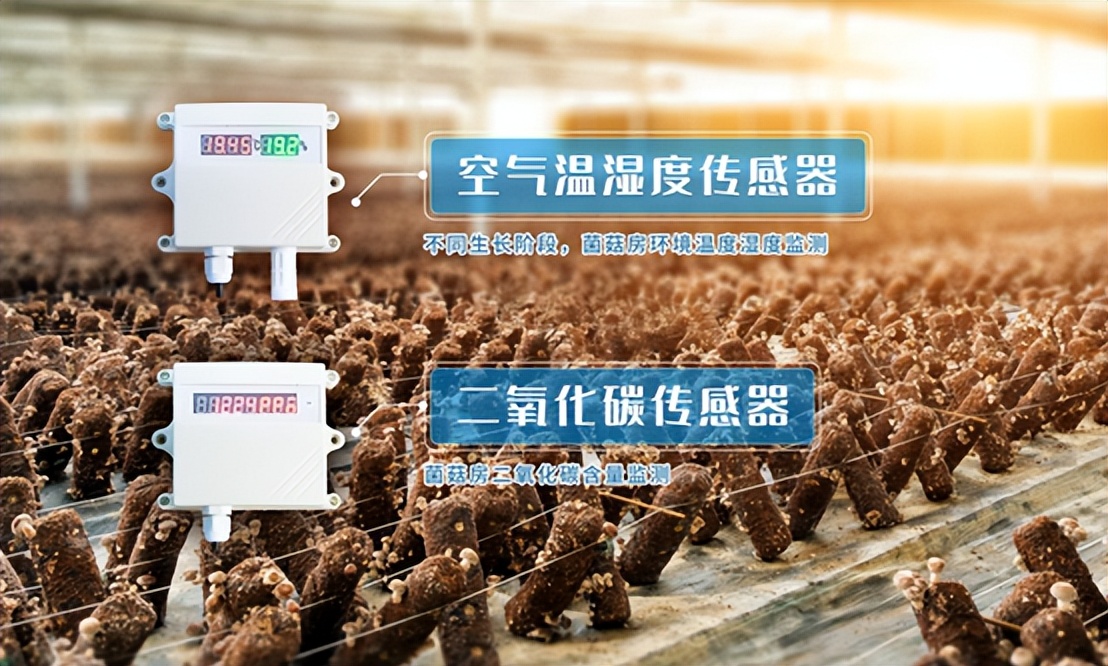 空氣溫濕度傳感器、二氧化碳傳感器