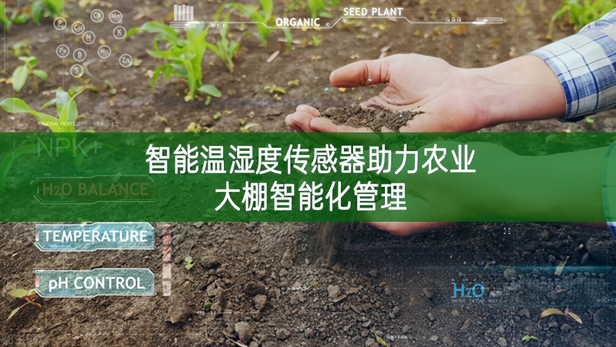 智能溫濕度傳感器助力農業(yè)大棚智能化管理