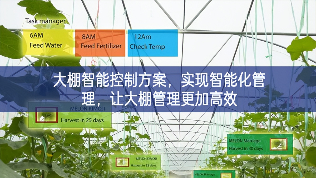 大棚智能控制方案，實(shí)現(xiàn)智能化管理，讓大棚管理更加高效