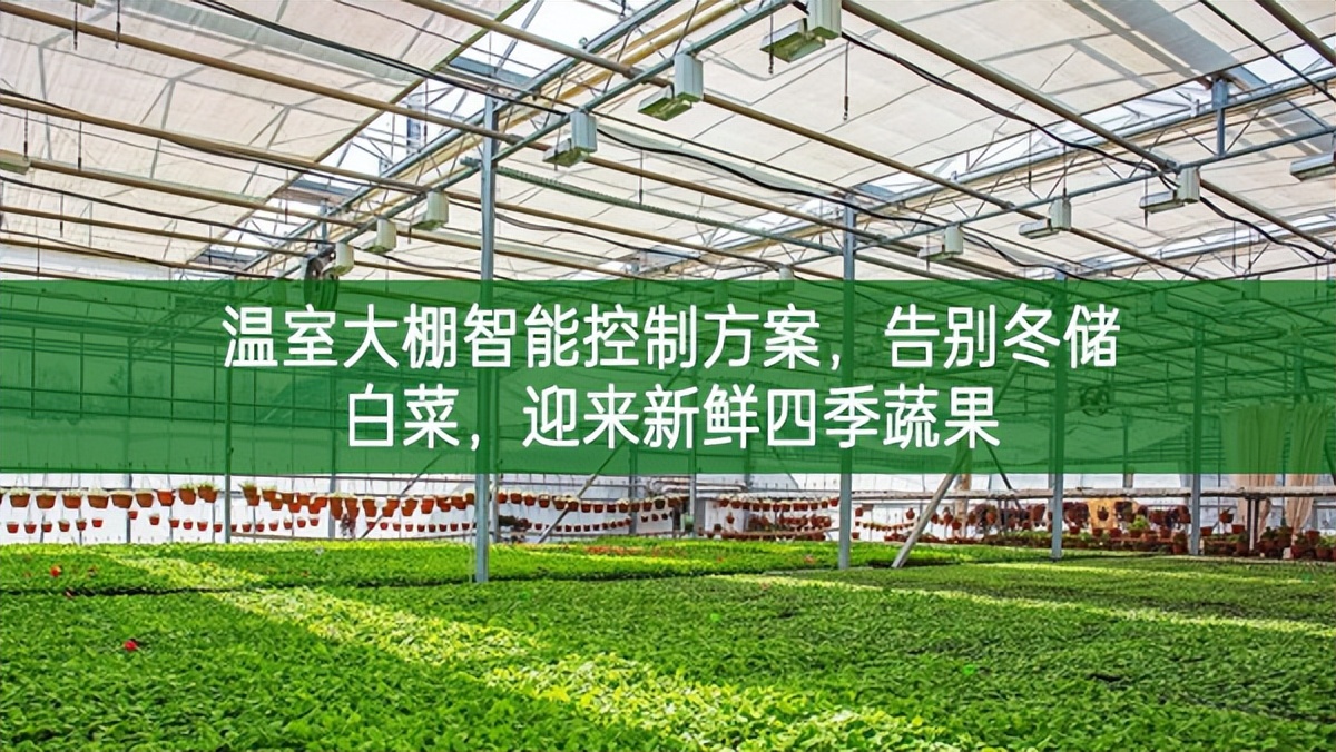 溫室大棚智能控制方案，告別冬儲(chǔ)白菜，迎來新鮮四季蔬果