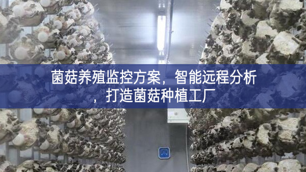 菌菇養(yǎng)殖監(jiān)控方案，智能遠程分析，打造菌菇種植工廠