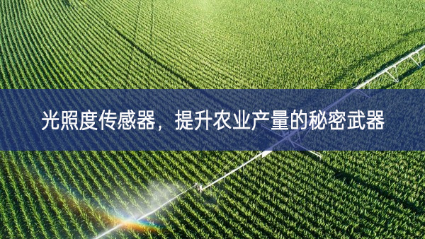光照度傳感器，提升農(nóng)業(yè)產(chǎn)量的秘密武器