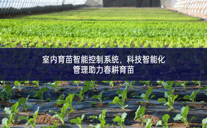 室內育苗智能控制系統(tǒng)，科技智能化管理助力春耕育苗