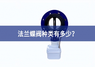 法蘭蝶閥種類有多少？