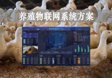 「智慧養(yǎng)殖」數(shù)字經(jīng)濟(jì)時代到來，養(yǎng)殖物聯(lián)網(wǎng)系統(tǒng)方案來了