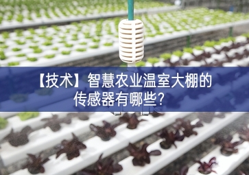 「技術(shù)」智慧農(nóng)業(yè)溫室大棚的傳感器有哪些？