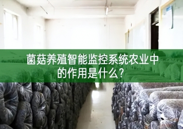 「智慧養(yǎng)殖」菌菇養(yǎng)殖智能監(jiān)控系統(tǒng)在農業(yè)中的作用是什么？