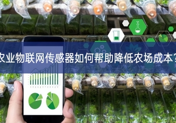 農(nóng)業(yè)物聯(lián)網(wǎng)傳感器如何幫助降低農(nóng)場(chǎng)成本？