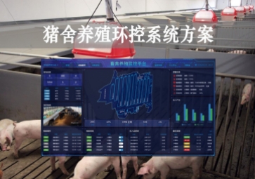 「智慧養(yǎng)殖」豬舍養(yǎng)殖環(huán)控系統(tǒng)方案，獲取環(huán)境參數(shù)，數(shù)字化畜牧業(yè)
