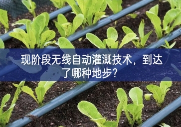 現(xiàn)階段無線自動(dòng)灌溉技術(shù)，到達(dá)了哪種地步？