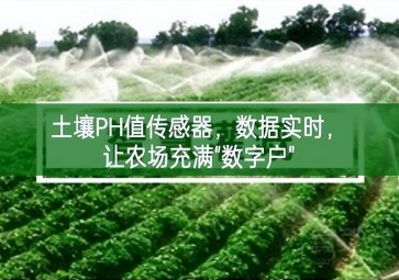 土壤PH值傳感器，數(shù)據(jù)實(shí)時(shí)，讓農(nóng)場(chǎng)充滿"數(shù)字戶"