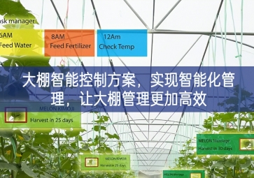 「智慧農(nóng)業(yè)」大棚智能控制方案,實現(xiàn)智能化管理，讓大棚管理更加高效 