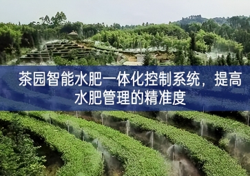 「智慧農(nóng)業(yè)」茶園智能水肥一體化控制系統(tǒng)，提高水肥管理的精準(zhǔn)度