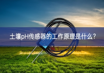 土壤pH傳感器的工作原理是什么？
