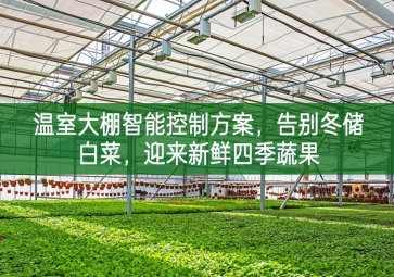 「智慧農(nóng)業(yè)」溫室大棚智能控制方案，告別冬儲白菜，迎來新鮮四季蔬果