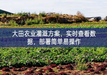 「智慧農(nóng)業(yè)」大田農(nóng)業(yè)灌溉方案，實時查看數(shù)據(jù)，部署簡單易操作