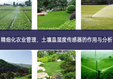 精細化農(nóng)業(yè)管理，土壤溫濕度傳感器的作用與分析