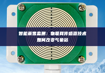 智能雨雪監(jiān)測：物聯(lián)網(wǎng)傳感器技術如何改變氣象站
